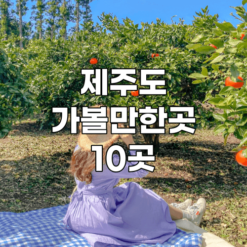 제주도 가볼만한곳 10곳 여행 꿀팁