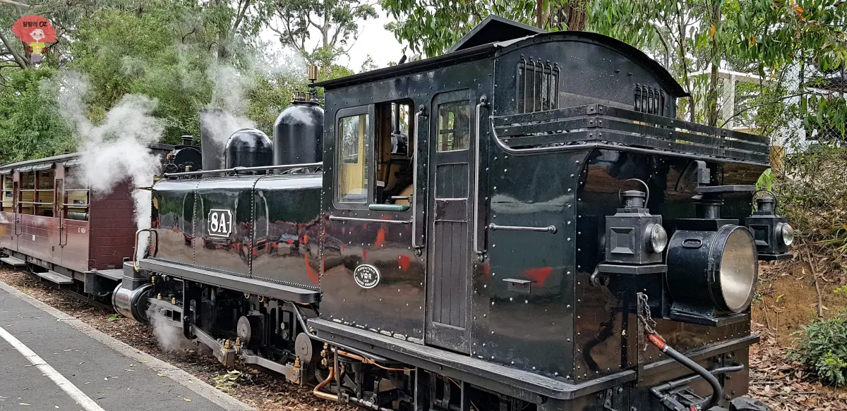 호주-멜버른-단데농-퍼핑-빌리-토마스-기차의-모티브가-된-증기기관차