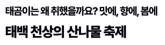 천상의-산나물-축제-사진