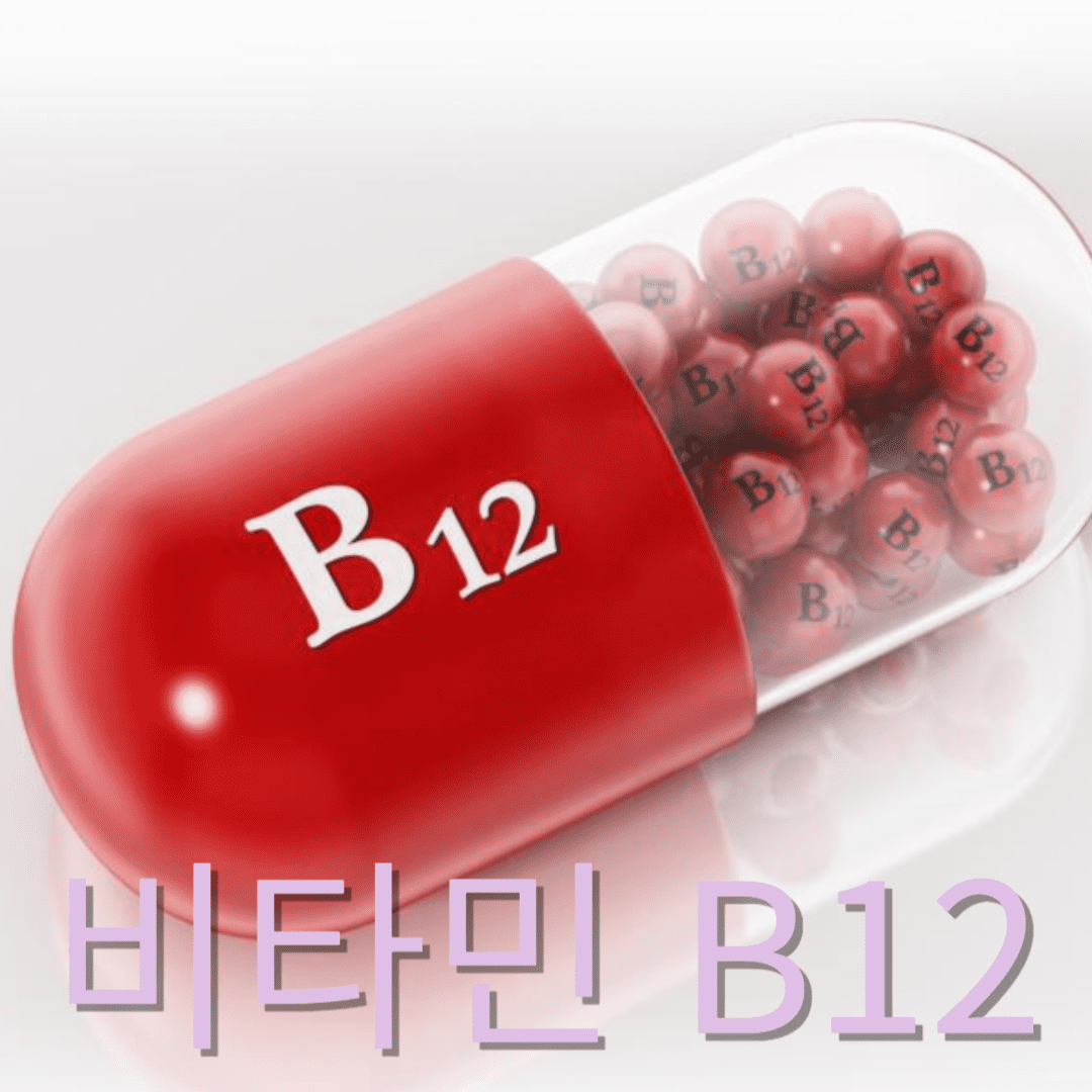 비타민 b12의 효능
