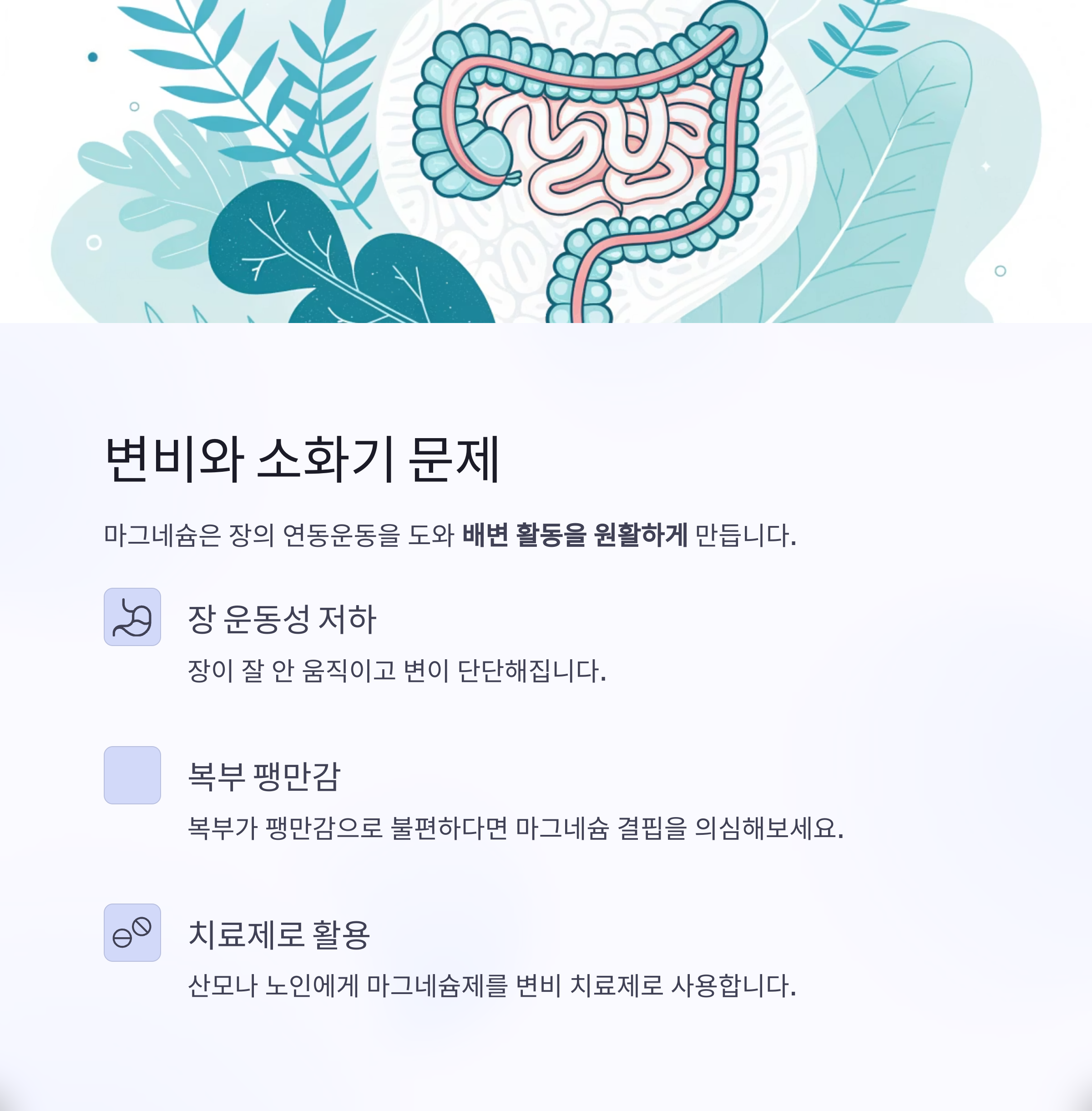 변비와 소화기 문제