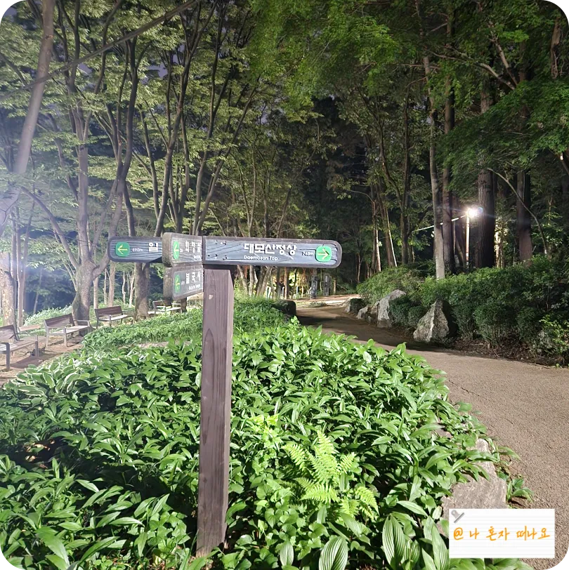 대모산정상까지-740m-남음