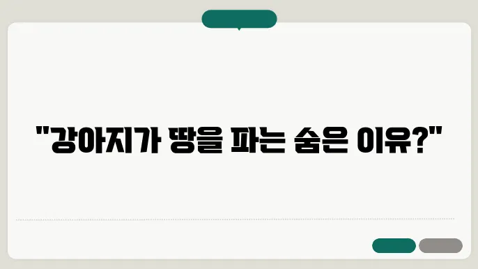 강아지 땅파는 행동 및 주저 앉는 이유 알아보기