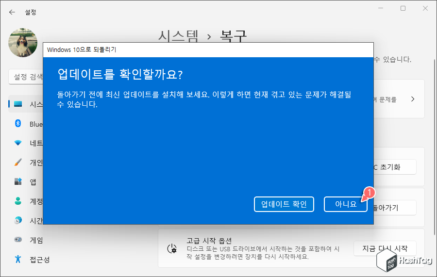업데이트 확인
