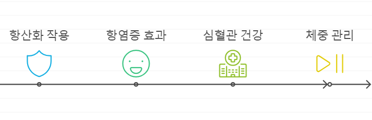 세사미놀 효능