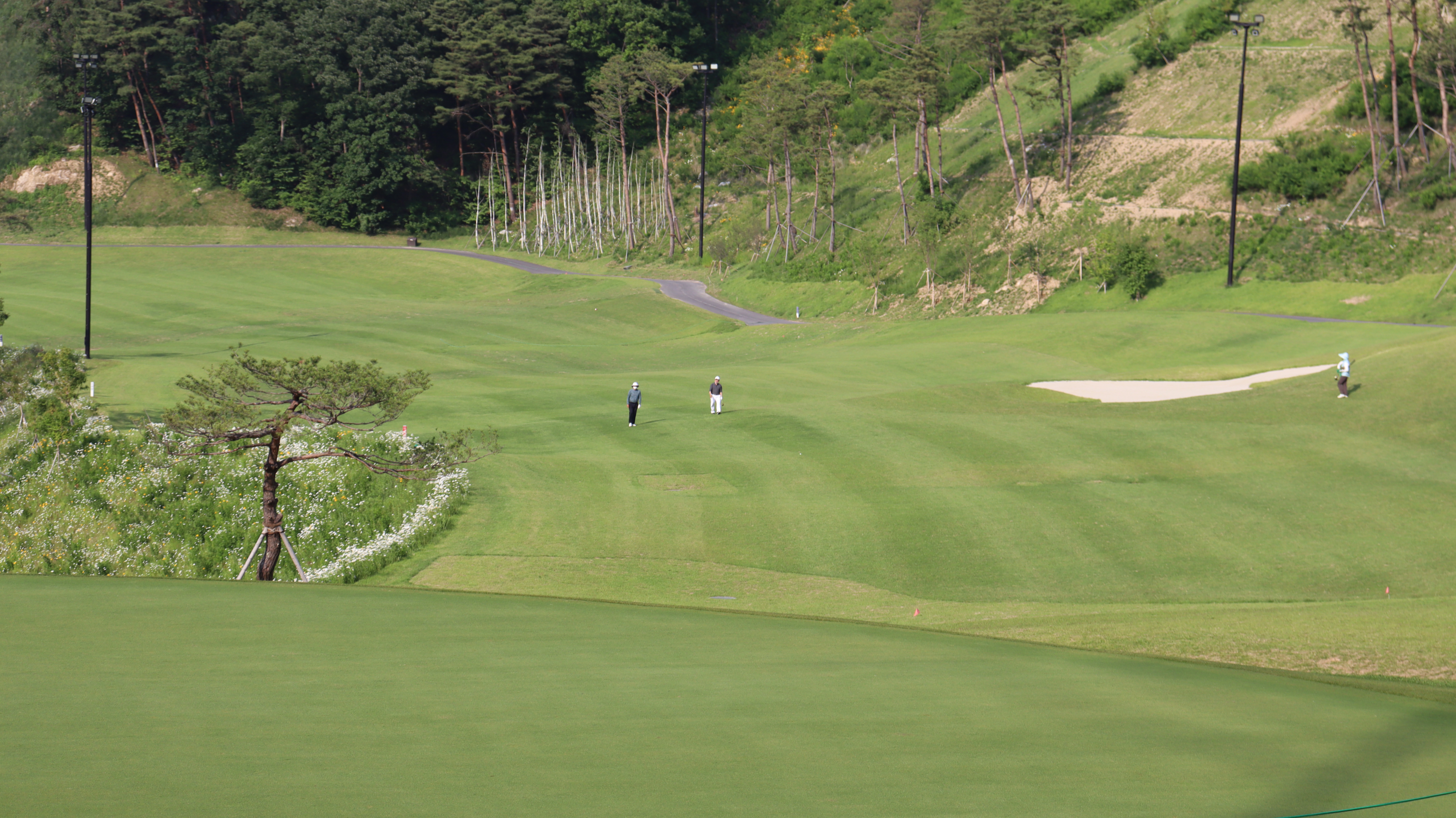 일레븐 컨트리클럽