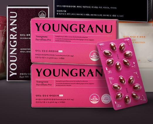 파비플로라 가격