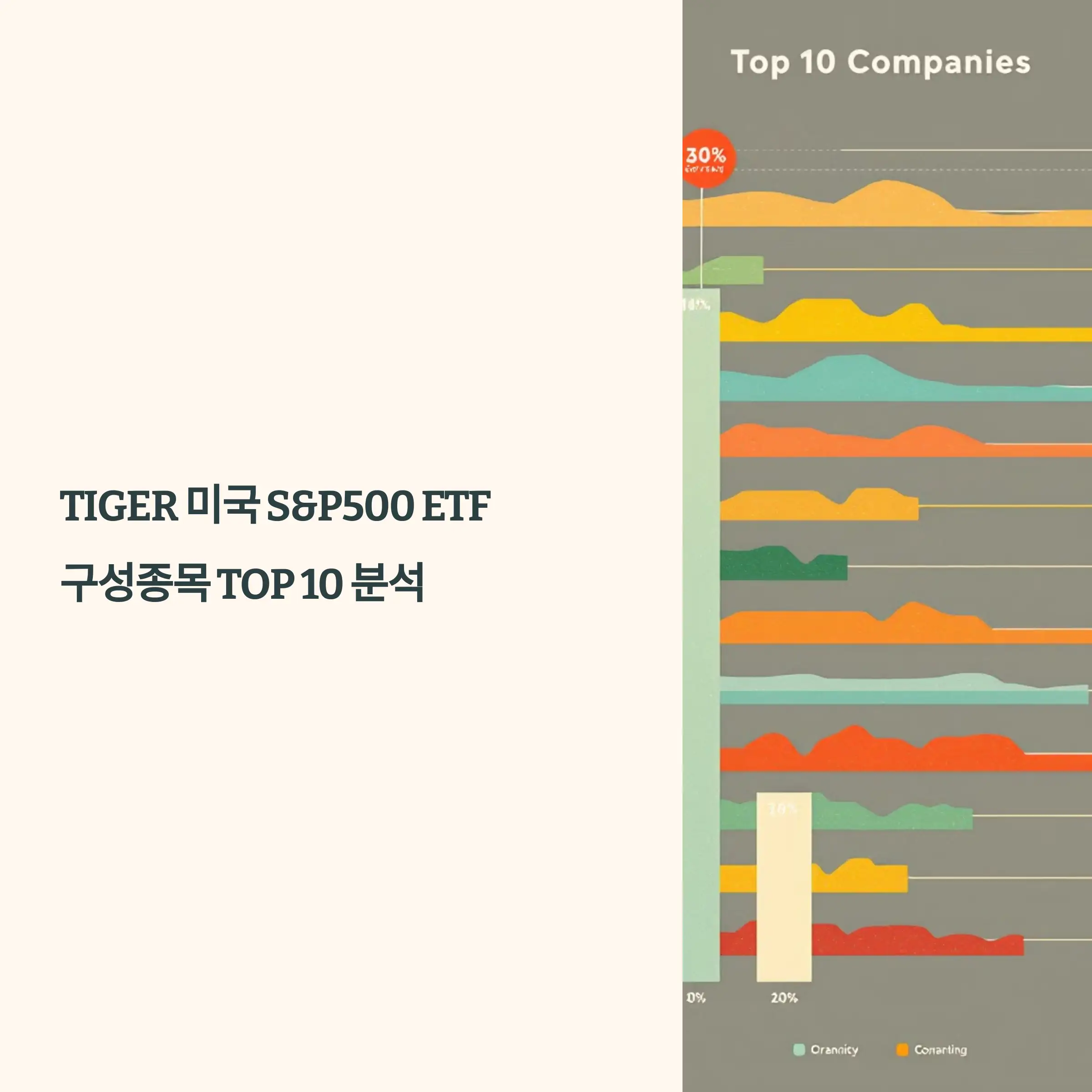 TIGER 미국 S&amp;P500 ETF 구성종목 TOP 10 분석