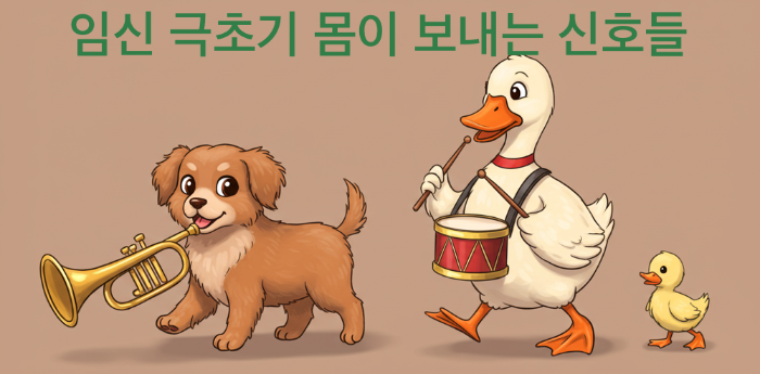 임신 극초기 몸이 보내는 신호들