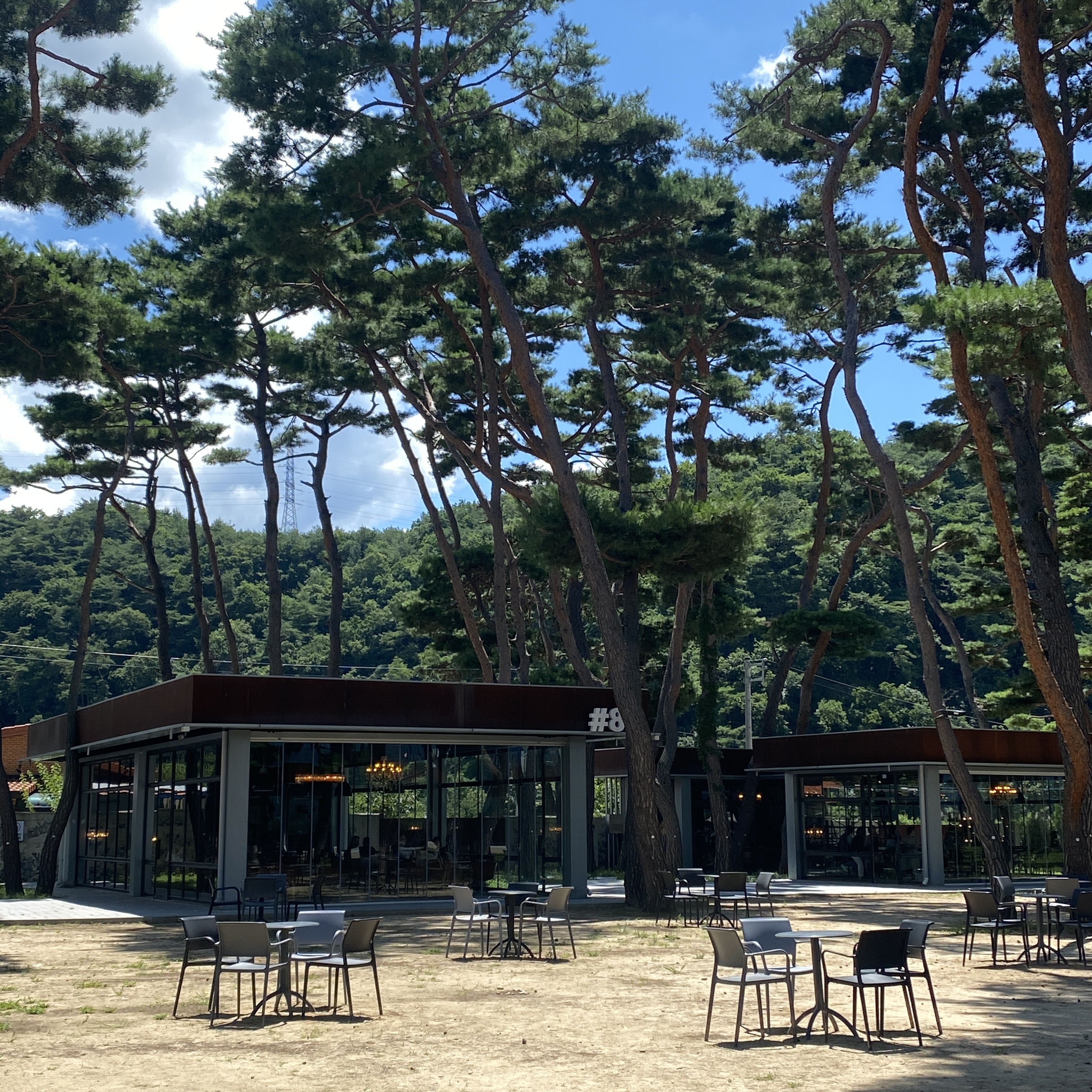 폴리 같은 카페