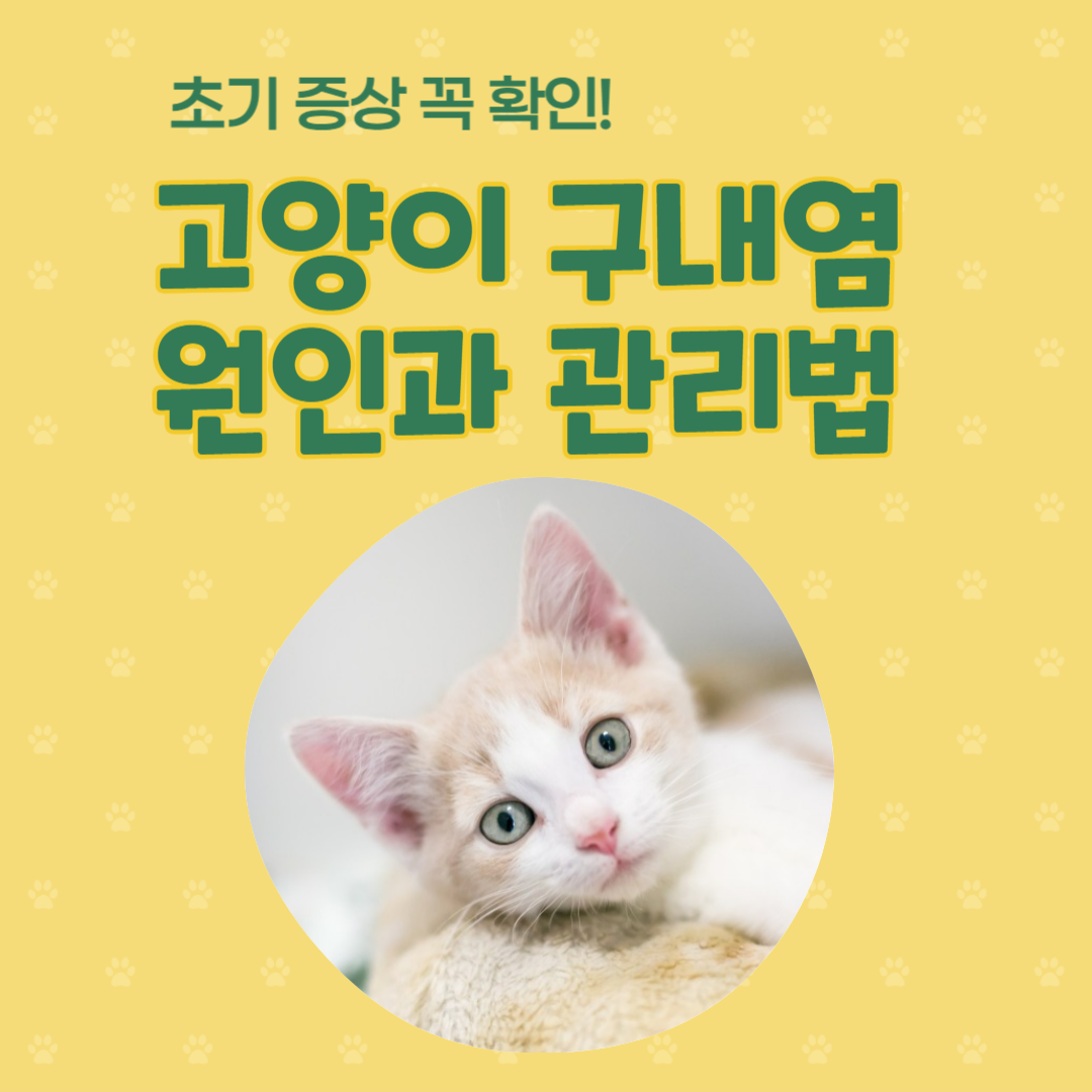 고양이 구내염