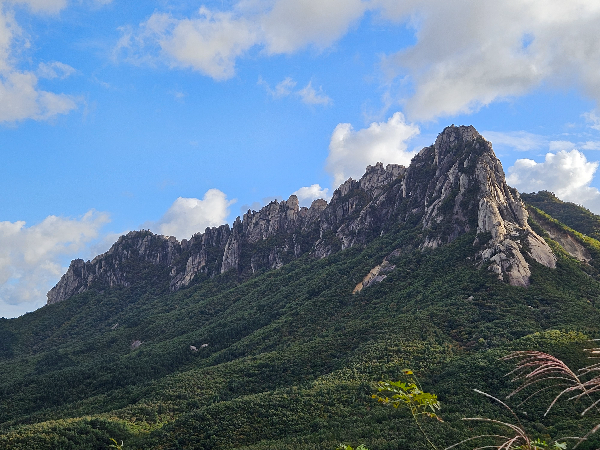 미시령 옛길에서 2