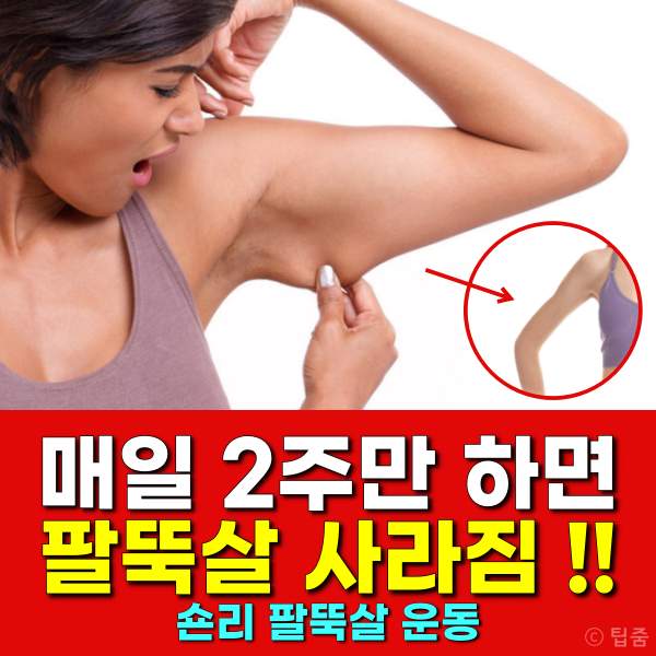 2주 팔뚝살 빼기 돌핀푸시업,숀리 팔뚝살빼는운동