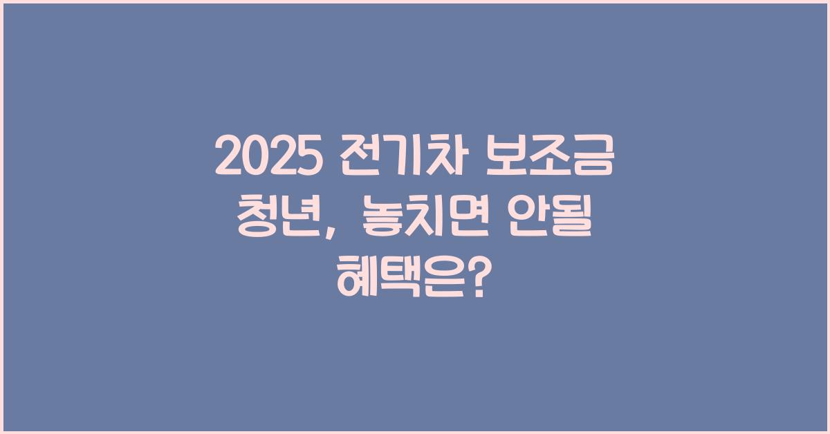 2025 전기차 보조금 청년