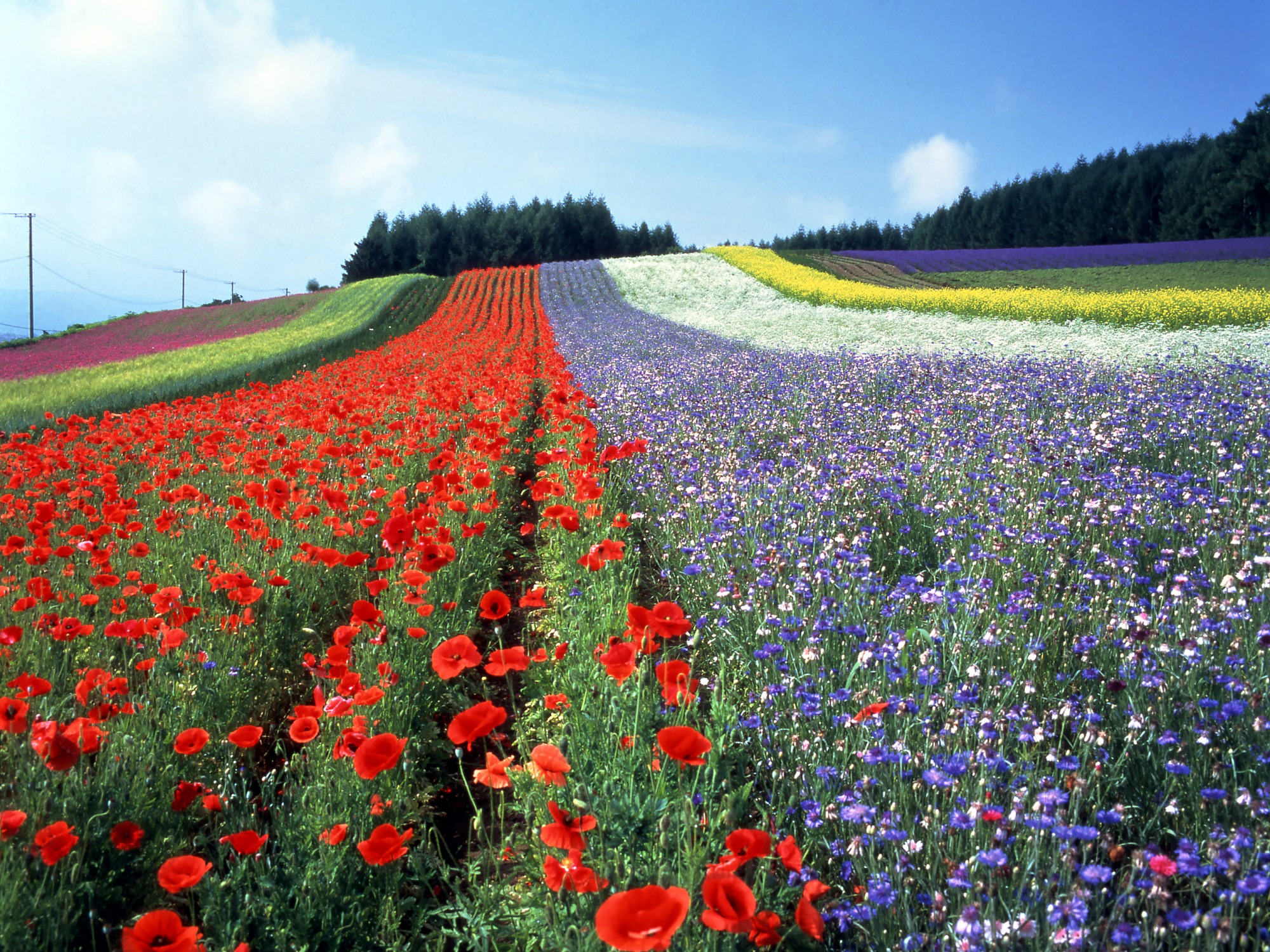 에어리어가이드 훗가이도 북부