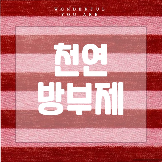 천연 방부제 완전 가이드: 제작부터 활용까지