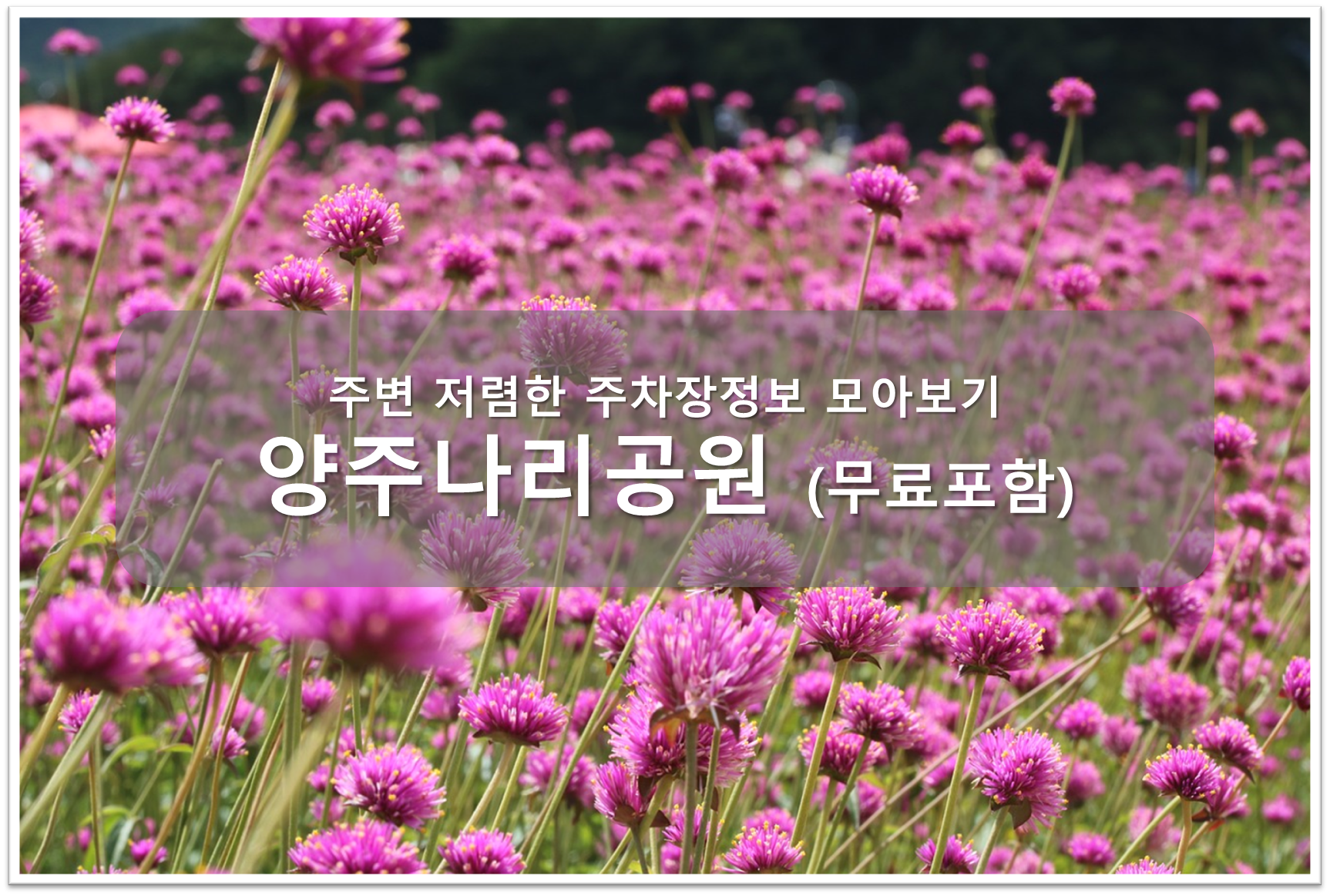 양주 나리공원 주차장 안내