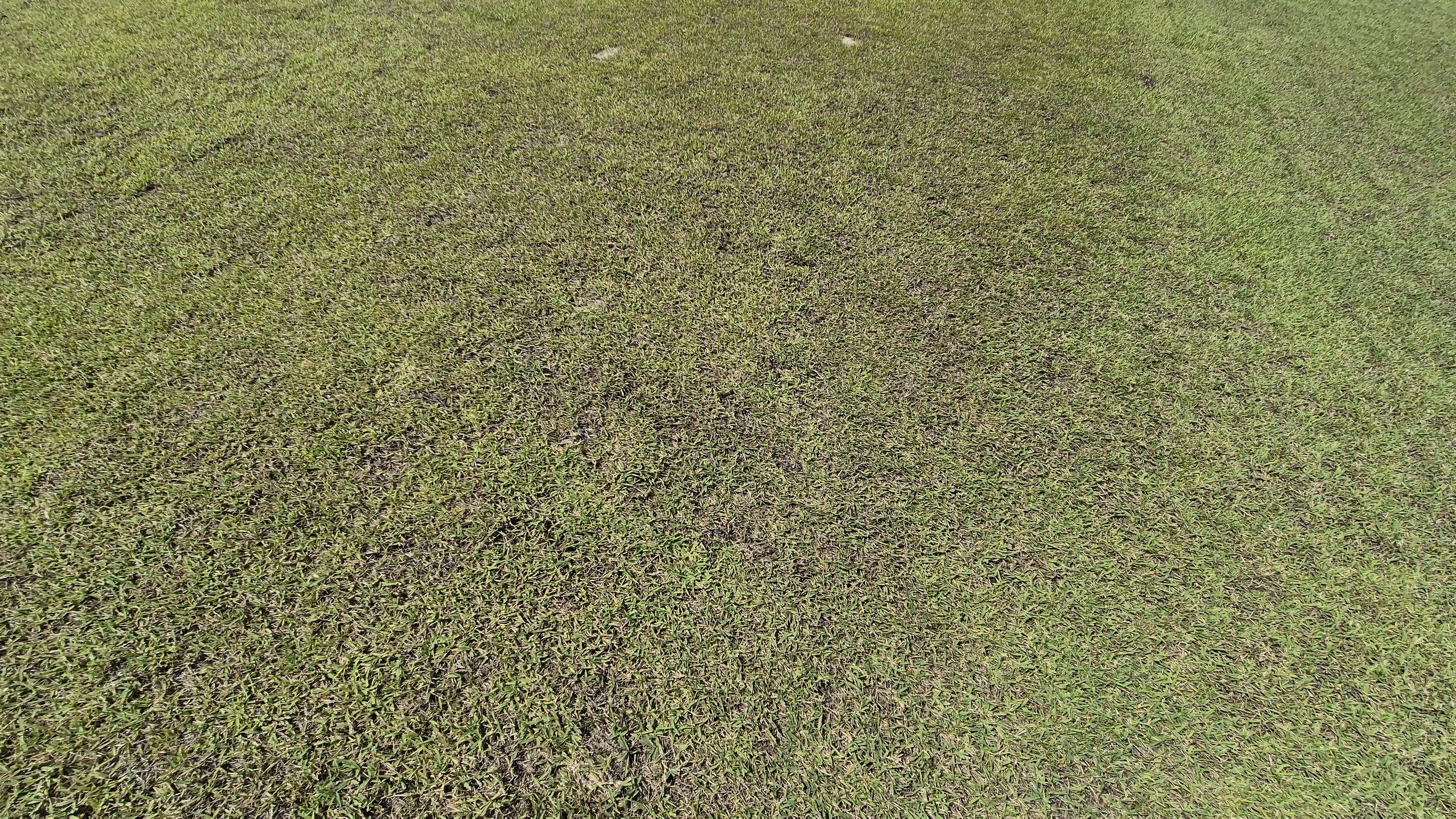 플라밍고cc 듄스-링크스 코스 라운드 후기