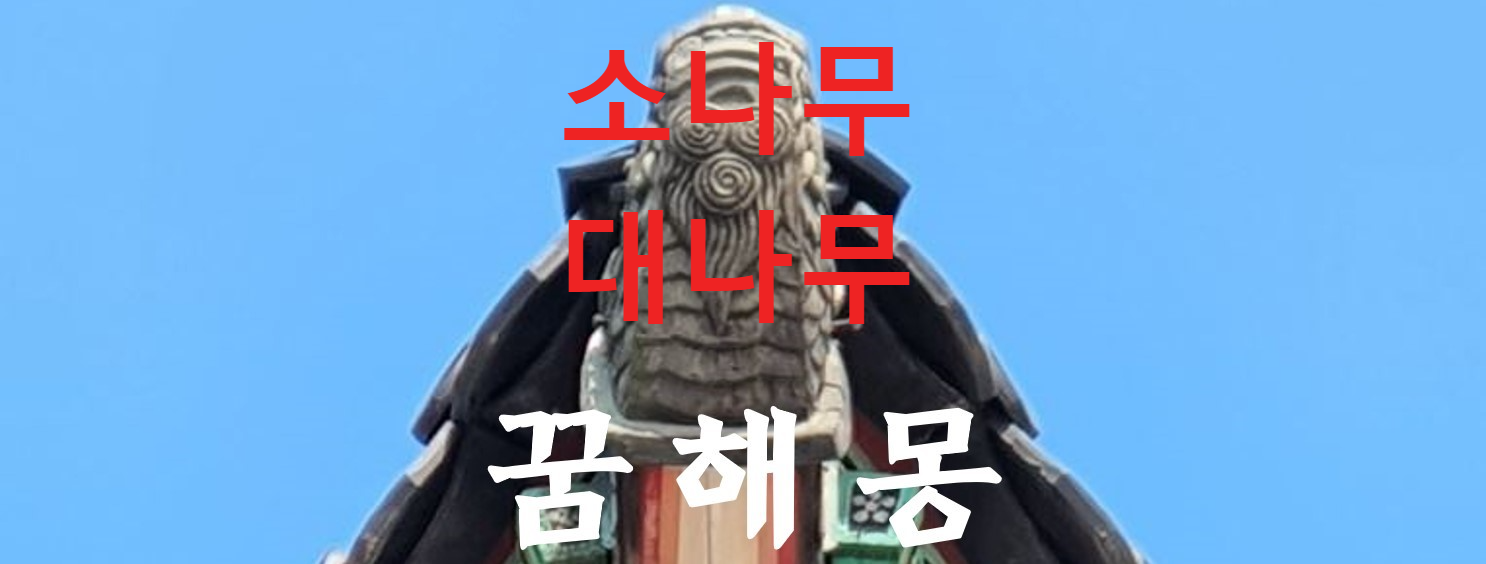 꿈해몽