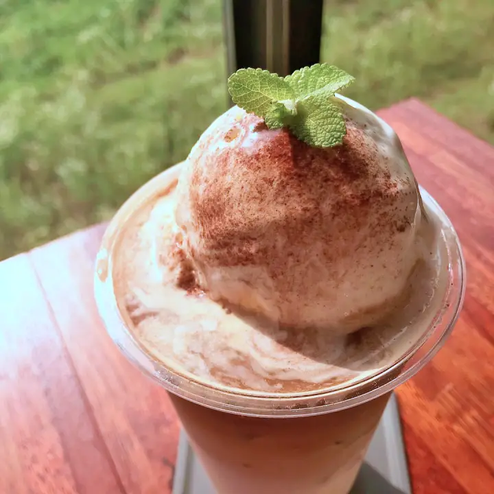 온실에서 즐기는 도자기 빵 식물원 베이커리 카페 맛집 경기도 이천 맛집