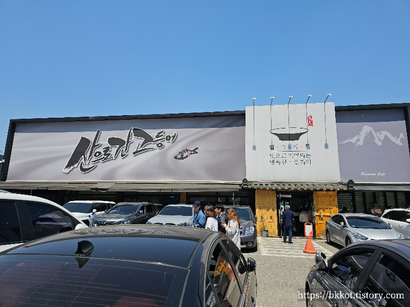 산으로간고등어