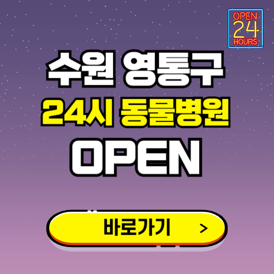수원시 영통구 24시 동물병원 진료하는 곳 ❘ 설날 휴일 야간 심야 문여는곳 찾기 ❘ 응급진료