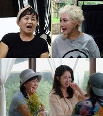 박원숙 남해 집 루머