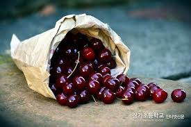 여름철 피부관리와 다이어트&amp;#44; 함께 완성하는 비법
