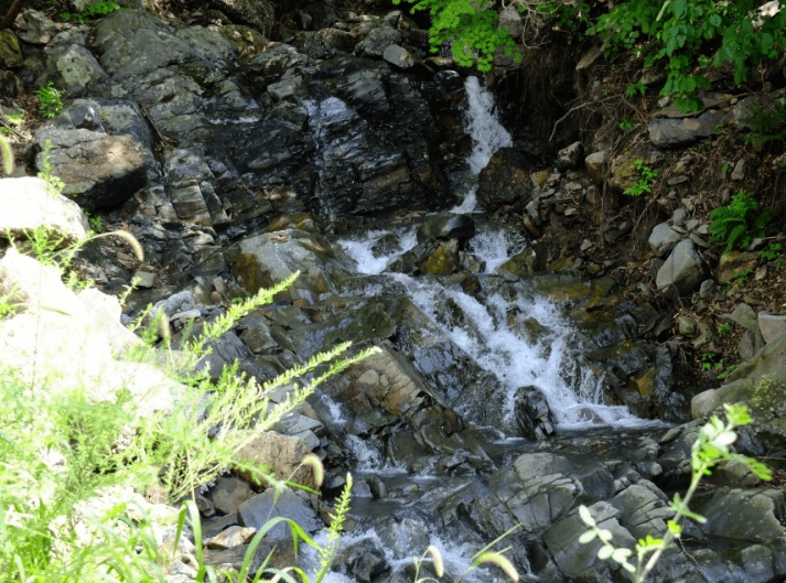 보령-화장골계곡