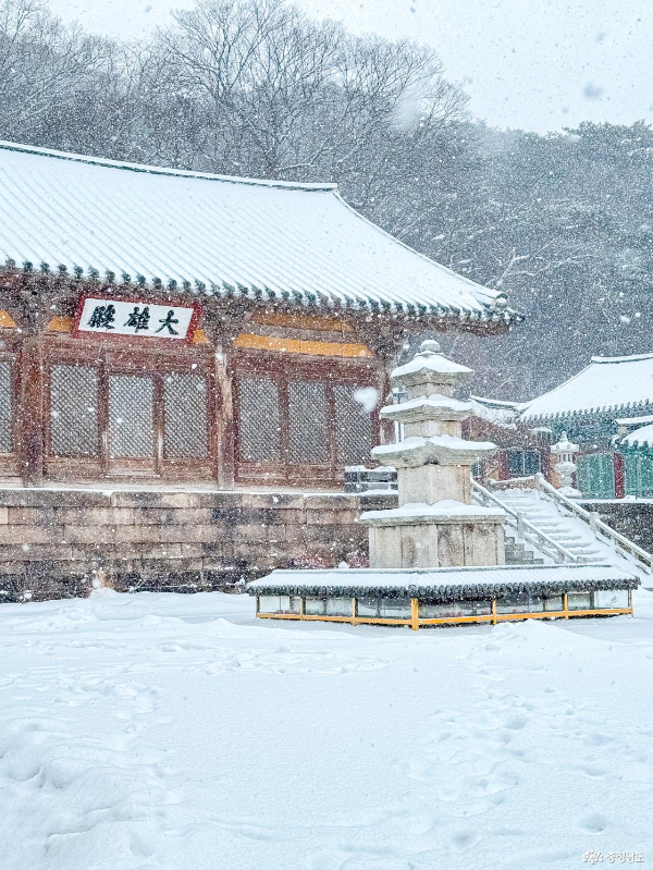충청권 겨울에 걷기 좋은 숲길 &amp; 트레킹 추천 BEST 7