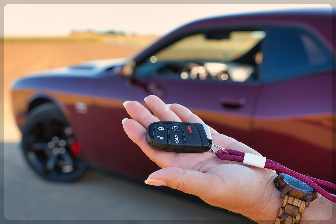 자동차세 이렇게 내세요! 위택스&middot;ETAX&middot;카드&middot;자동이체 납부 방법 정리