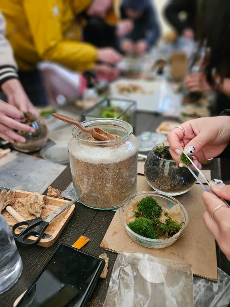 6시내고향 강원 춘천 여행 코스, 감자아일랜드 양조장, 칠남매감자빵, 이끼 체험 김유정역 이끼정원, 킹카누 나루터, 삼악산 호수 케이블카