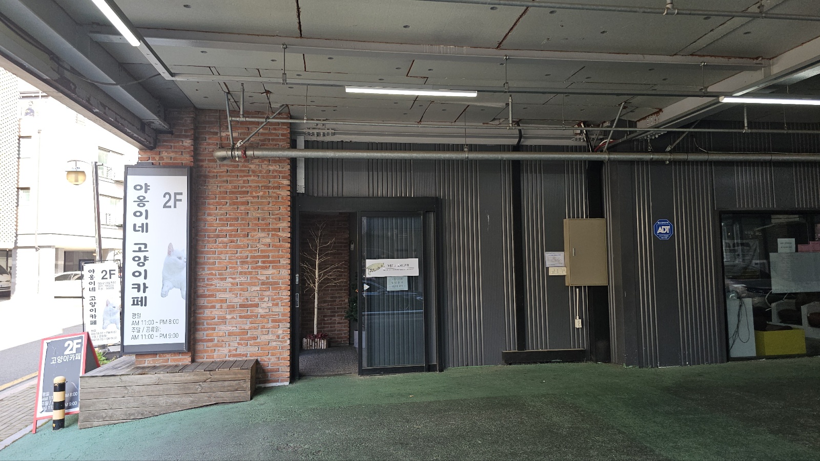 야옹이네 고양이 카페