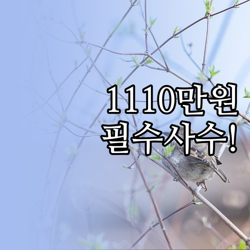 법원이 보장하는 생계비 1110만원 ..
