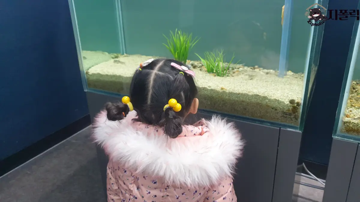 충북아쿠아리움-2층-우리민물고기-구경