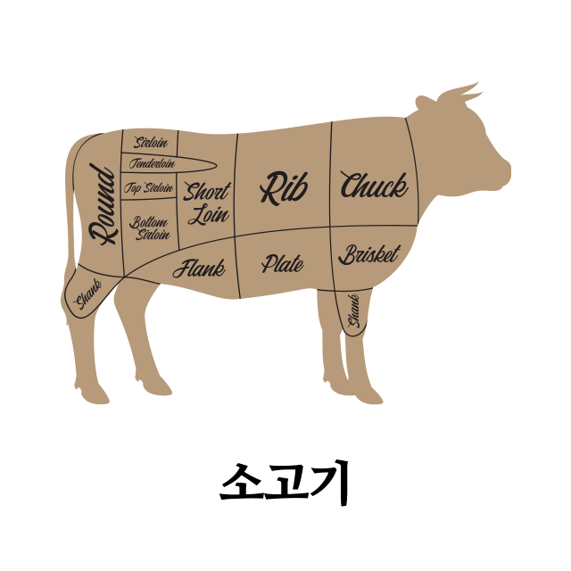 단백질-많은-음식