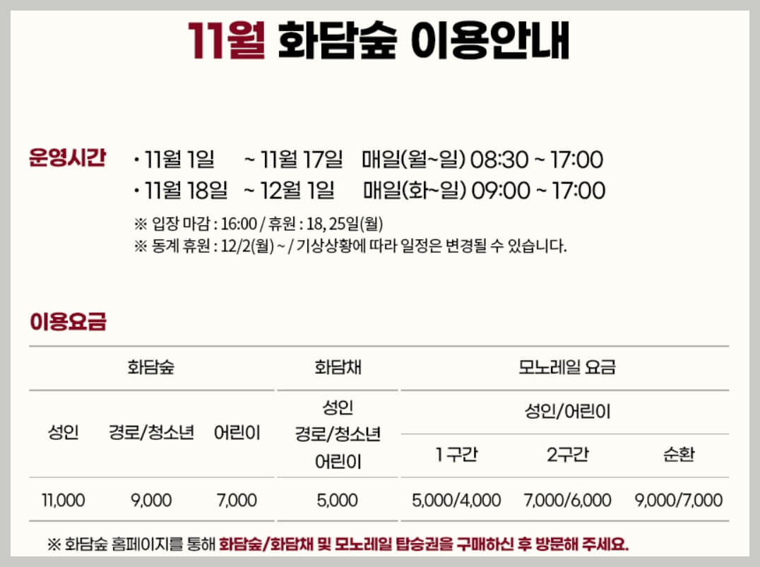 11월 화담숲: 가을의 끝자락에서 즐기는 단풍과 겨울 풍경