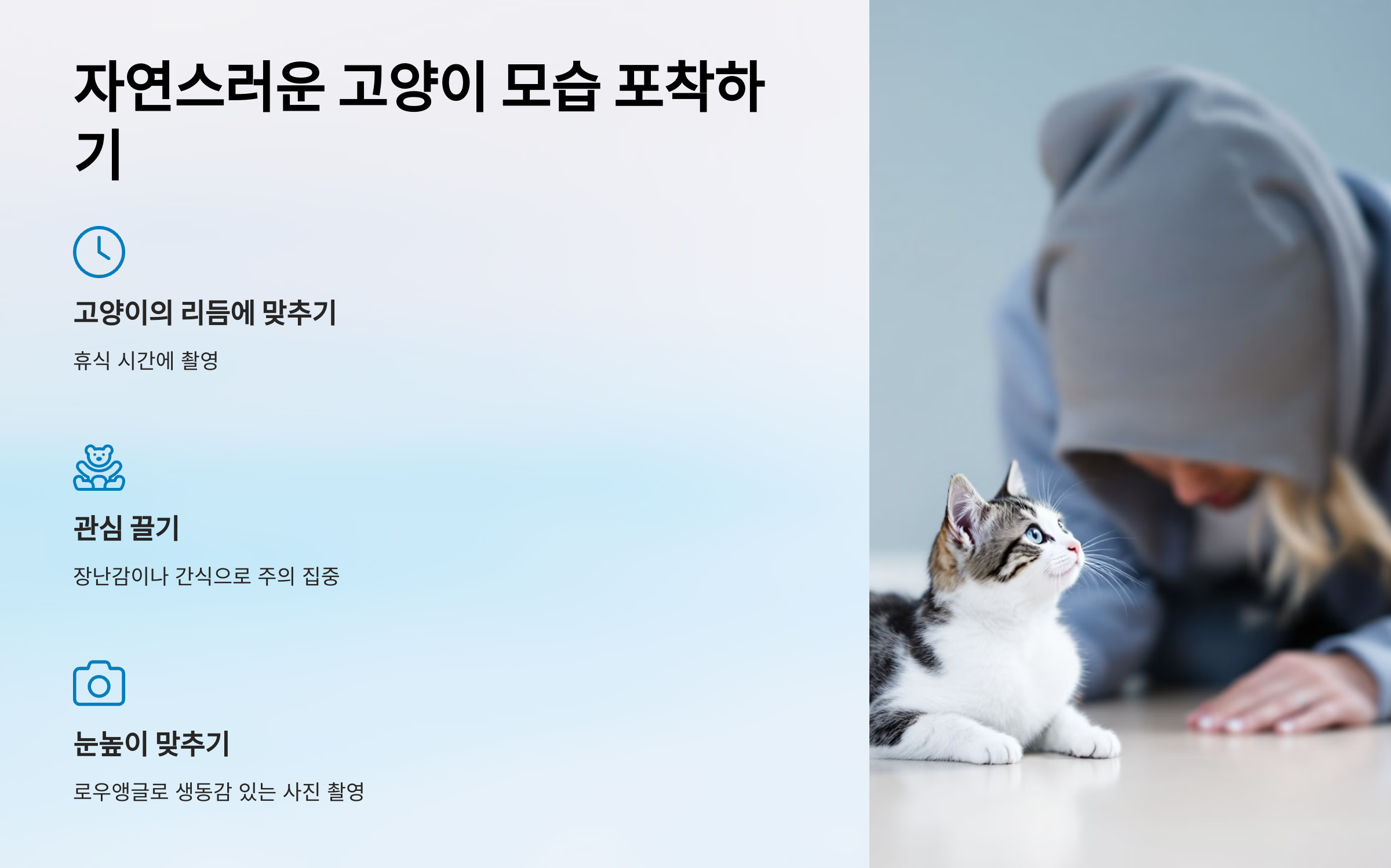 자연스러운 고양이 모습 포착하기