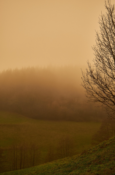 어느새 우리 곁에 스며든 먼지, 건강을 위협하는 보이지 않는 존재들