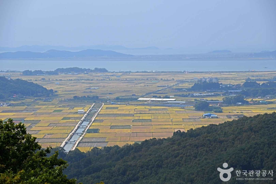 강화도2