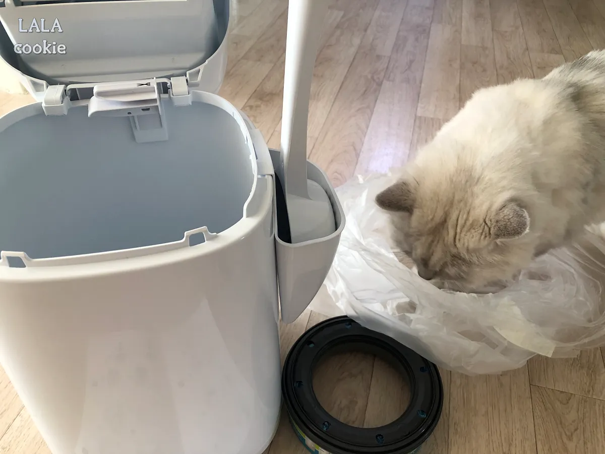 고양이-배변-쓰레기통-추천-리터락커-후기-조립-전-모습-포장-비닐을-가지고-노는-고양이
