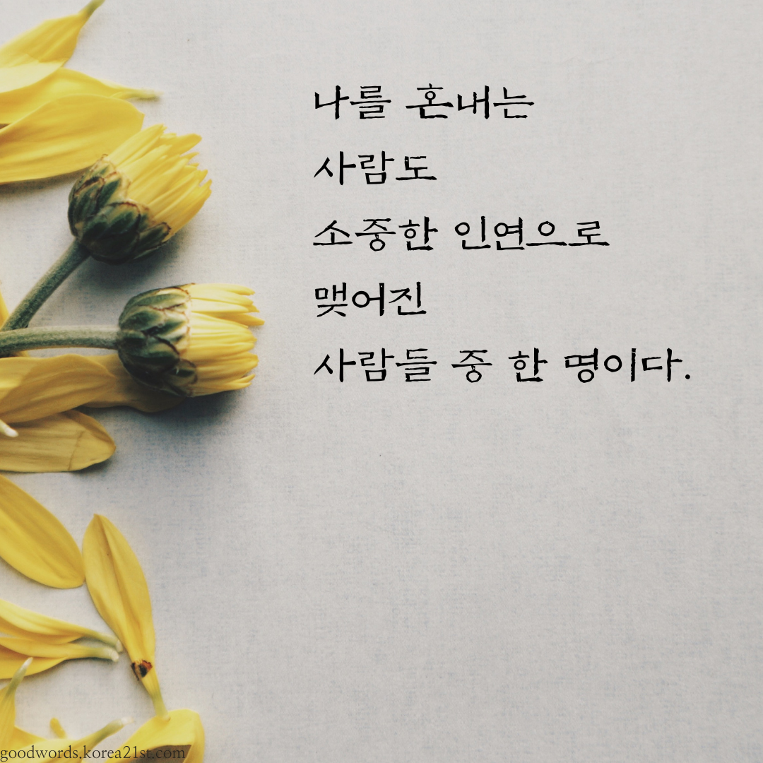인연에 관한 좋은 글귀 명언 문구 이미지
