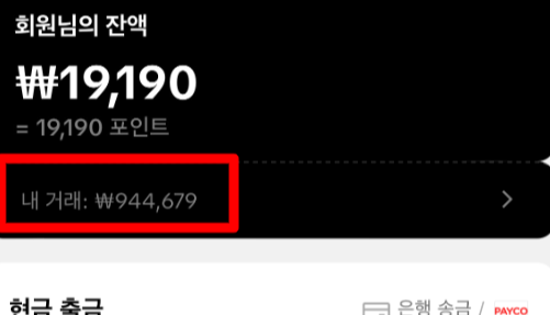 틱톡-라이트-사기