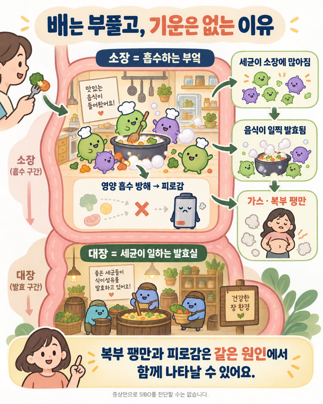 시보 인포그래픽 소장 세균 소화기 증상 복부팽만