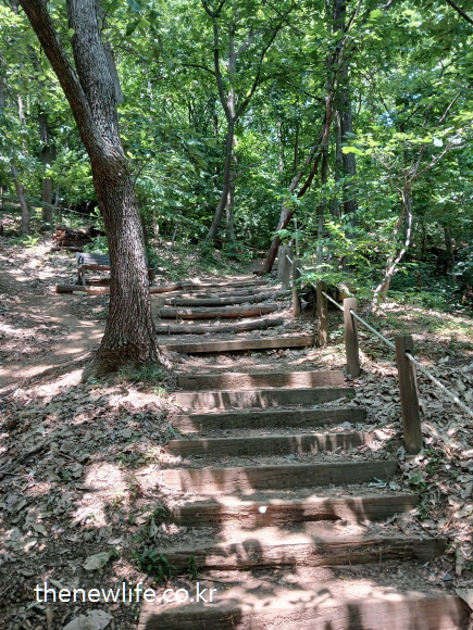 Uneven log stairs in mountain trail – for fat-burning stair exercise-산길의 울퉁불퉁한 통나무 계단 – 지방 연소에 효과적인 계단오르기 운동 장소