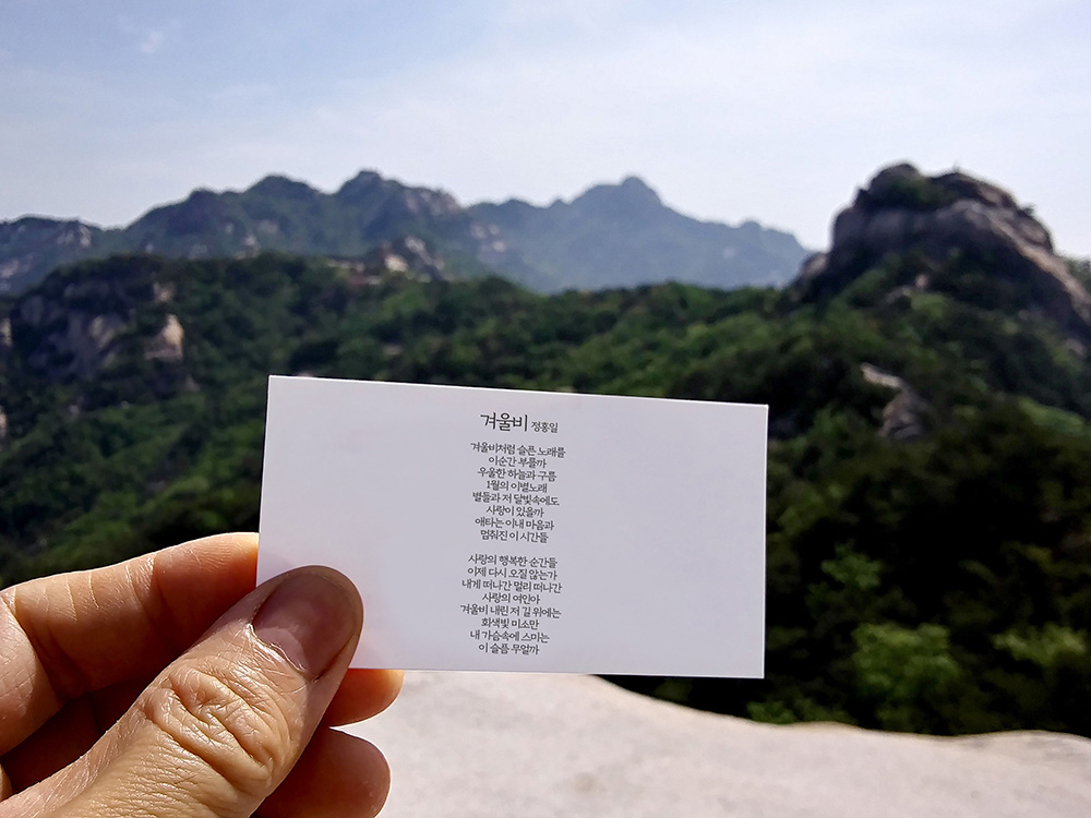 정홍일의 겨울비