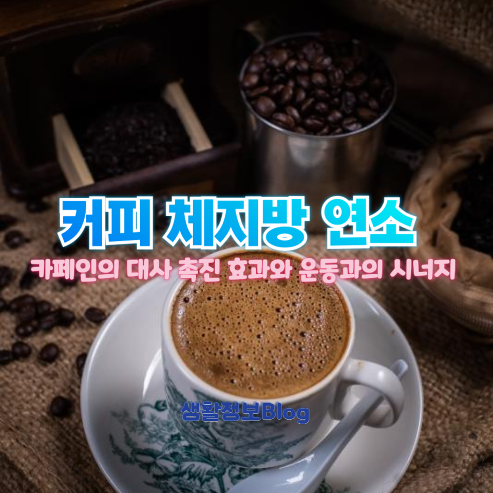 커피가 체지방 연소를 돕는다?