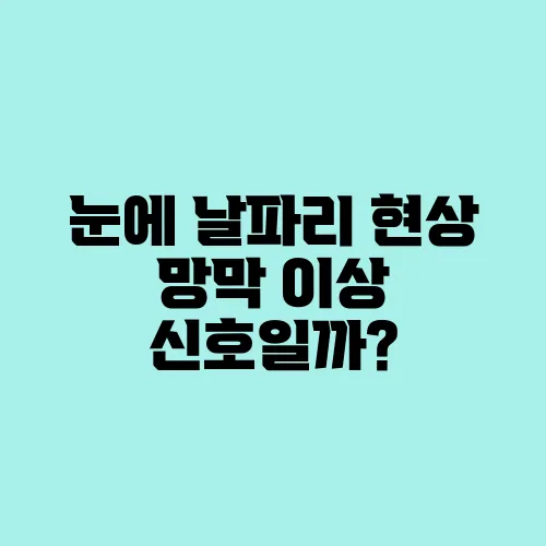 눈에 날파리 현상 망막 이상 신호일까?