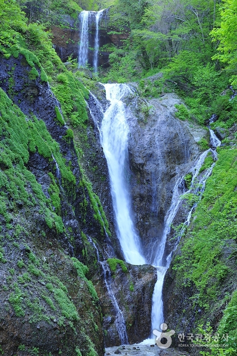 울릉도 가볼만한곳 베스트10 