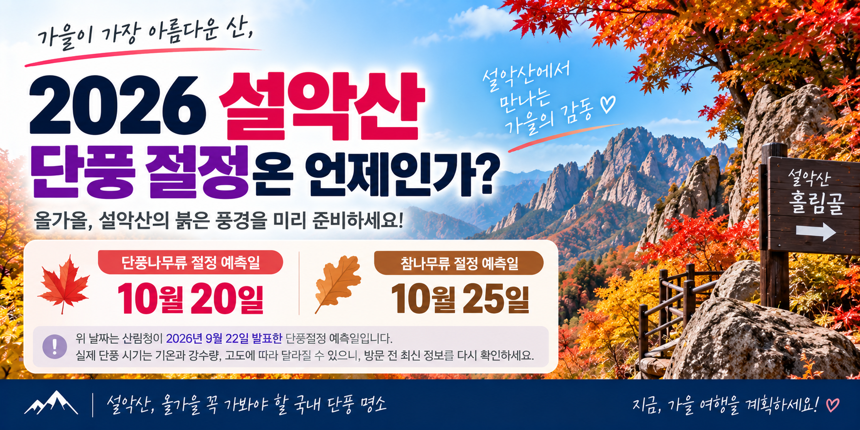설악산 단풍 절정 예측일 단풍나무류 10월 20일 참나무류 10월 25일 안내